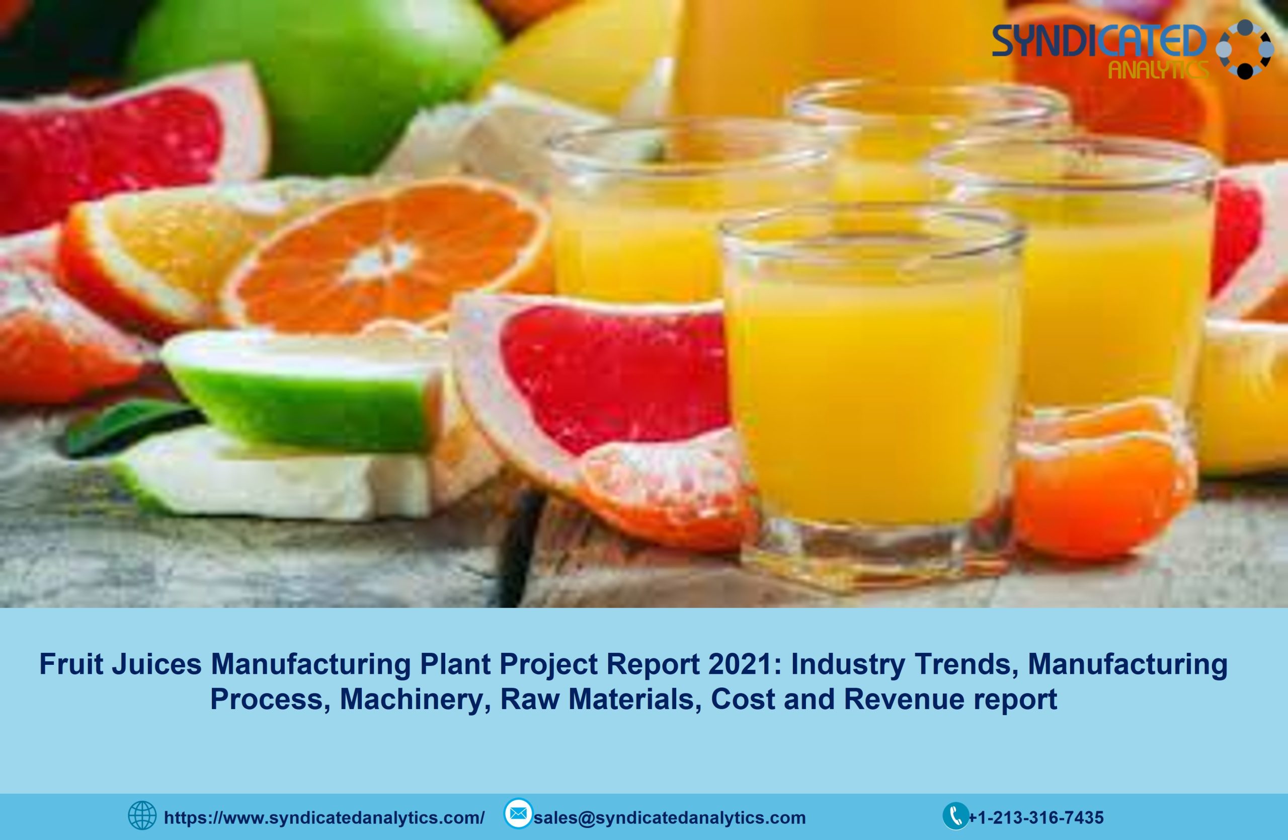 fruit juice manufacturing business plan