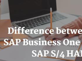 SAP Business One VS S/4 HANA