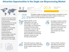 Single use Bioprocessing Market