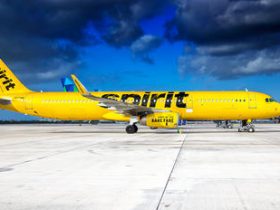 Contact Spirit Airlines
