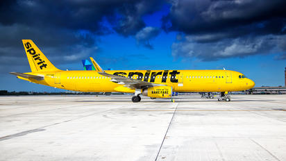 Contact Spirit Airlines