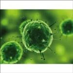 Global Antimicrobial Nanocoatings Market