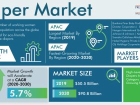 Diaper Market Segmentation Analysis Report