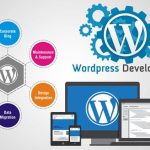 The Role of a WordPress Website Development Company