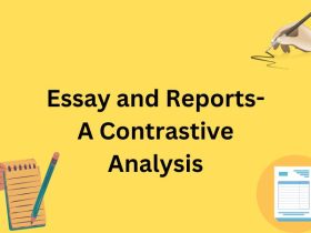 Essay and Reports- A Contrastive Analysis